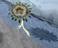 SilphselaImage.jpg (223 KB) Sun Silph