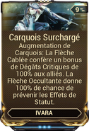  Carquois Surchargé