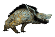 Stover centinela.png