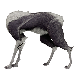 Hnin Tint - Warframe: Mau the Khora and the Kavats
