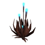 Tepa Nodule (27 KB) Tepa Plant (3-4x Tepa Nodule)