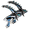 Akarius.png