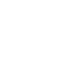 IconSynthetics