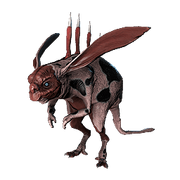 Kuaka cenizo.png