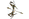 Cernos Prime.png