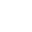 ScarabShell130xWhite