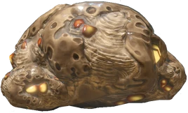 Залежь