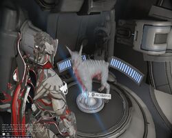 Kubrow glitch where it copies sentinel's colors