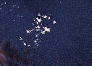 Warframe-Fish-Hotspot.gif