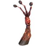 Ganglion (79 KB) Haptic Frond (6-11x Ganglion)