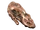Копран