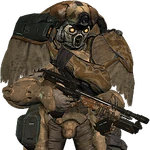 DesertRifleLancerAvatar