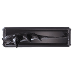 MurkrayTrophy