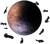 Eris