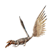 Mergoo costero.png