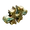 Forma.png