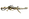 Vectis Prime.png