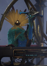 Bird 3