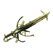 SomaPrime.png