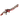 Sporothrix.png