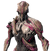 Nidus