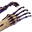 ShadowClaws