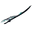 SkanaIncarnonGenesis