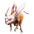 Куака