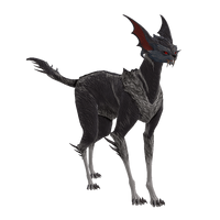 VascaKavat
