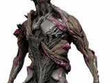 Nidus