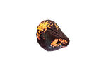ResourceDecoItemIradite