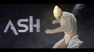 Warframe Profile - Ash