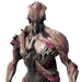 Nidus