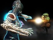 escudos (-25% damage type modifier for all damage)