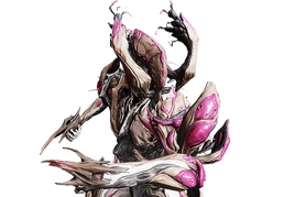 Nidus