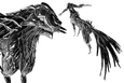 Sabela Prime Kavat Fur Pattern