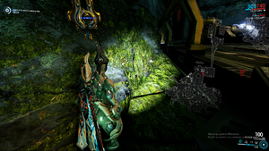Warframe Moonlight Dragonlily 4