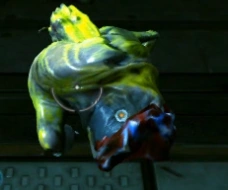 Update10crawlermelee.png (88 KB)