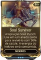 SoulSurvivor3