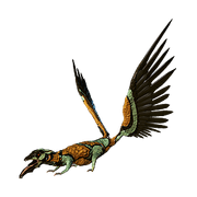 Mergoo espléndido.png