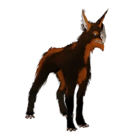 ChesaKubrow