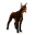 ChesaKubrow