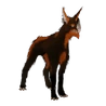 Chesa Kubrow