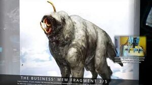 The Business' Mem Fragments (Lore)