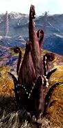 Dracroot Plant