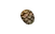 ForestNightCommon.png