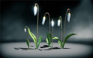 Sunlight Dragonlily in the Codex.