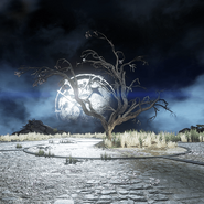 Moonlit Courtyard