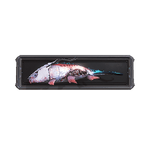 MortusLungfishTrophy
