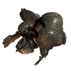 Skaut
